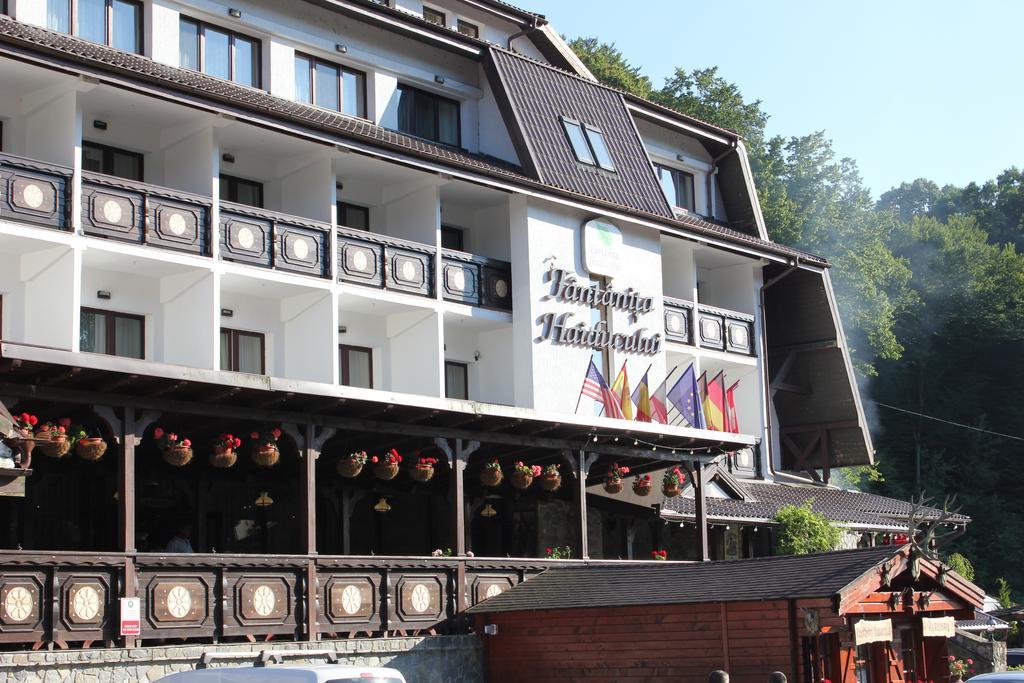 Hotel Fantanita Haiducului Bradu  Exterior foto
