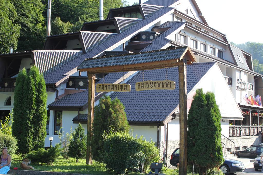 Hotel Fantanita Haiducului Bradu  Exterior foto